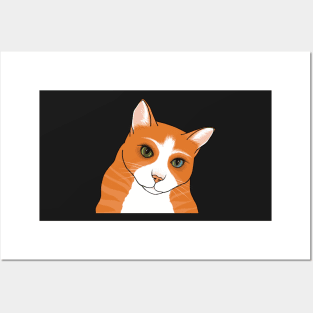 The Cute Ginger cat watching you seems a bit worried Posters and Art